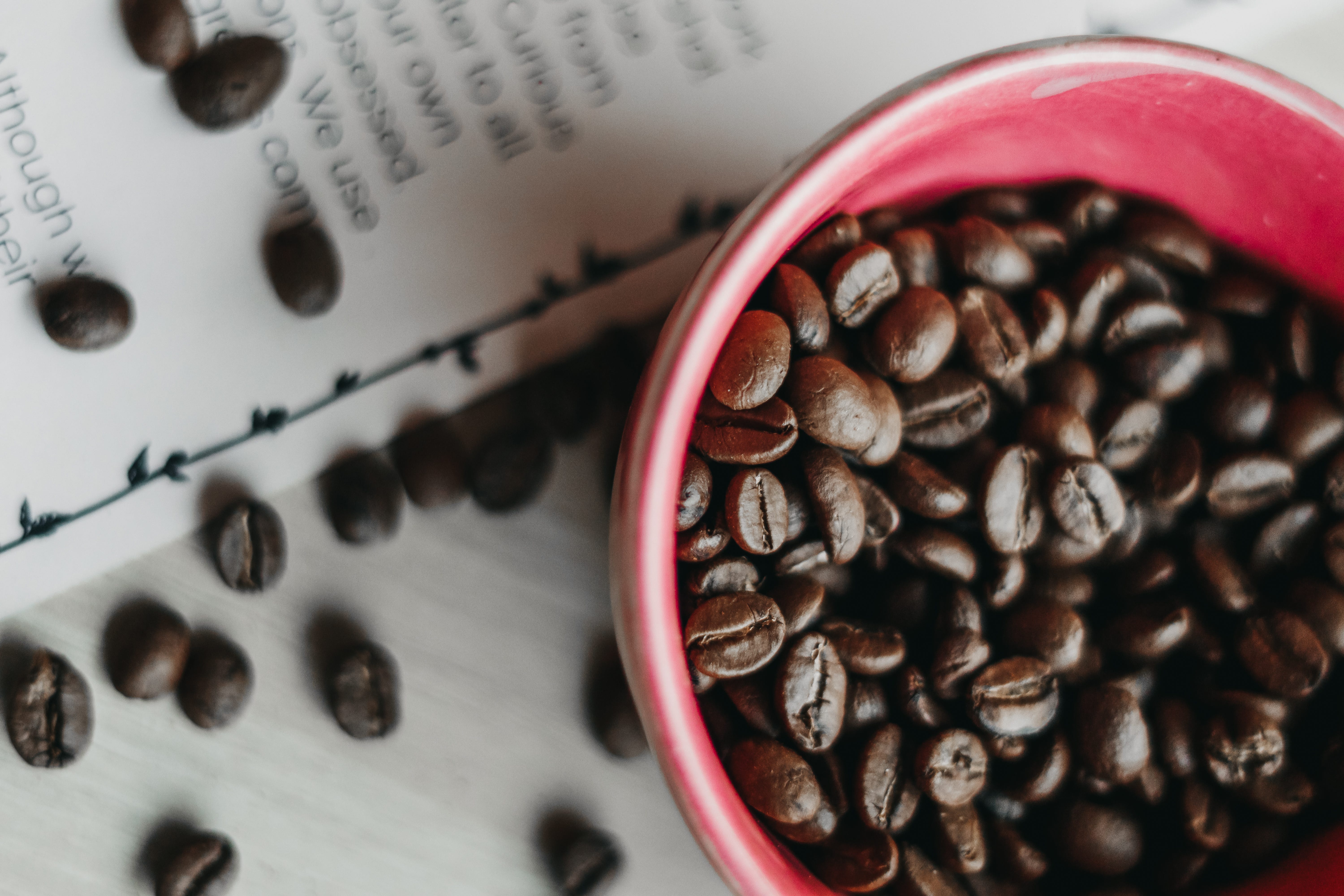 Biggest Myths Around Coffee Most Coffee Lovers Don T Know This By Sixteen Grams Coffee Medium
