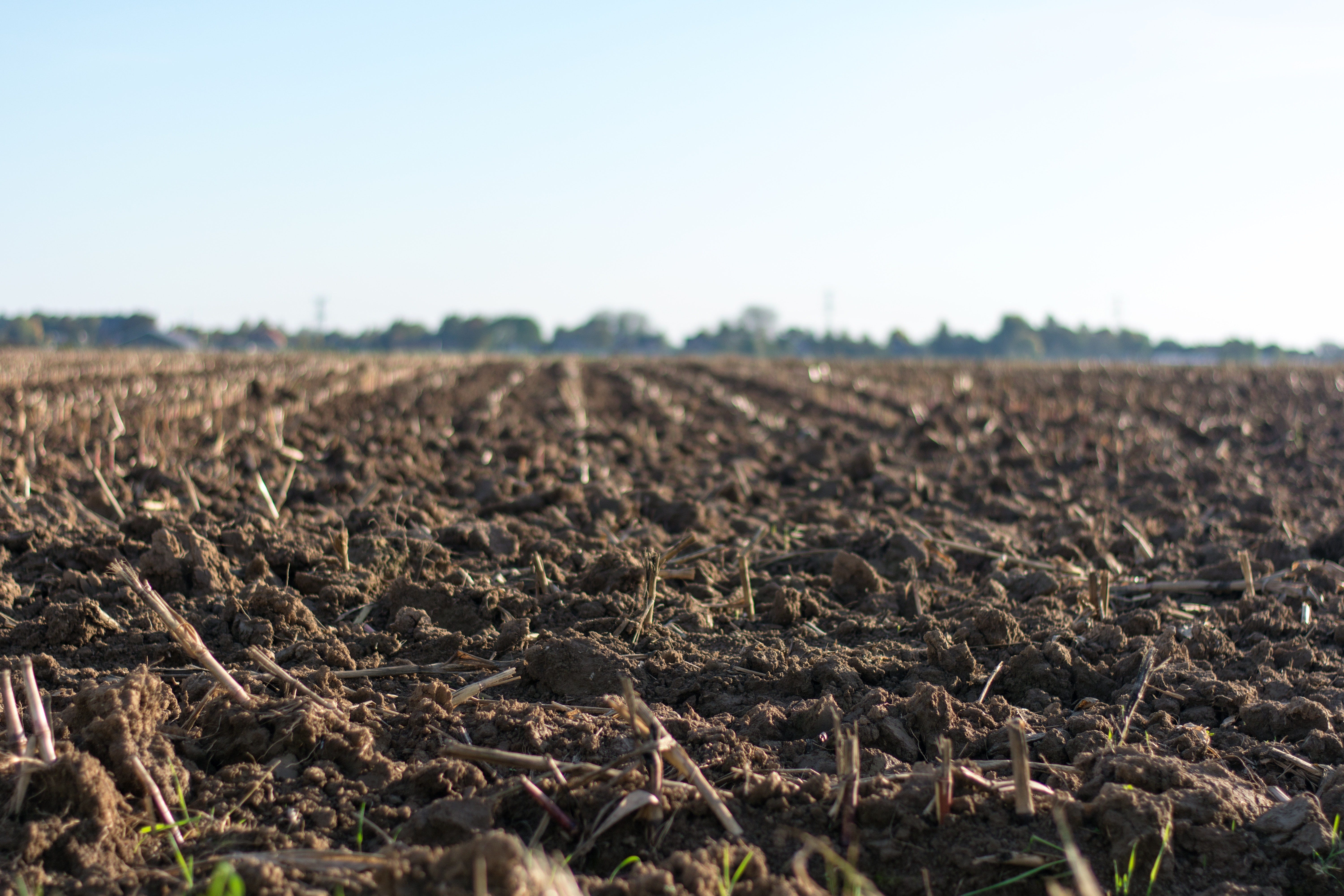 A Quick Lesson On Soil Erosion And Conservation By Seetree Ai Medium