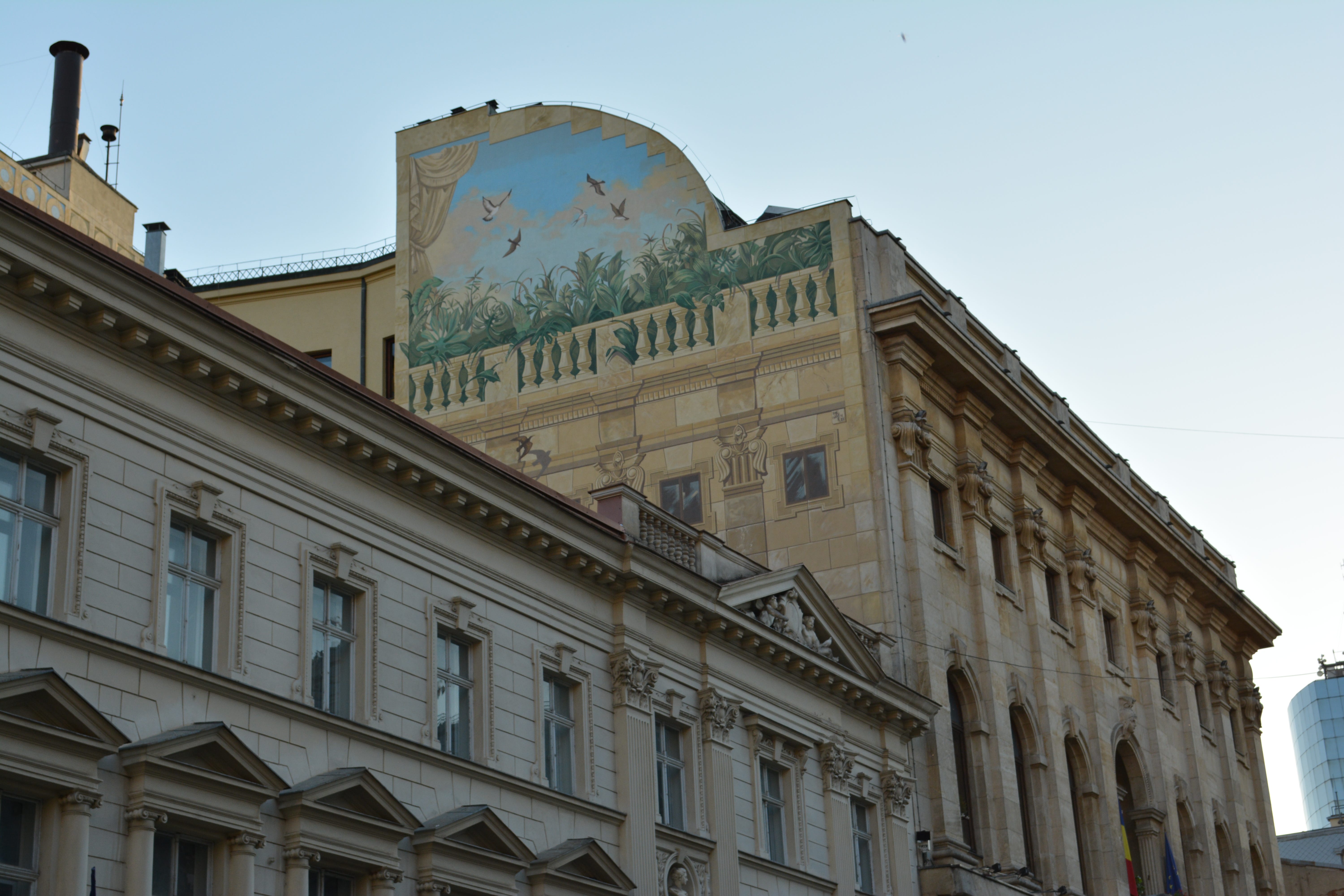 Авто в румынии