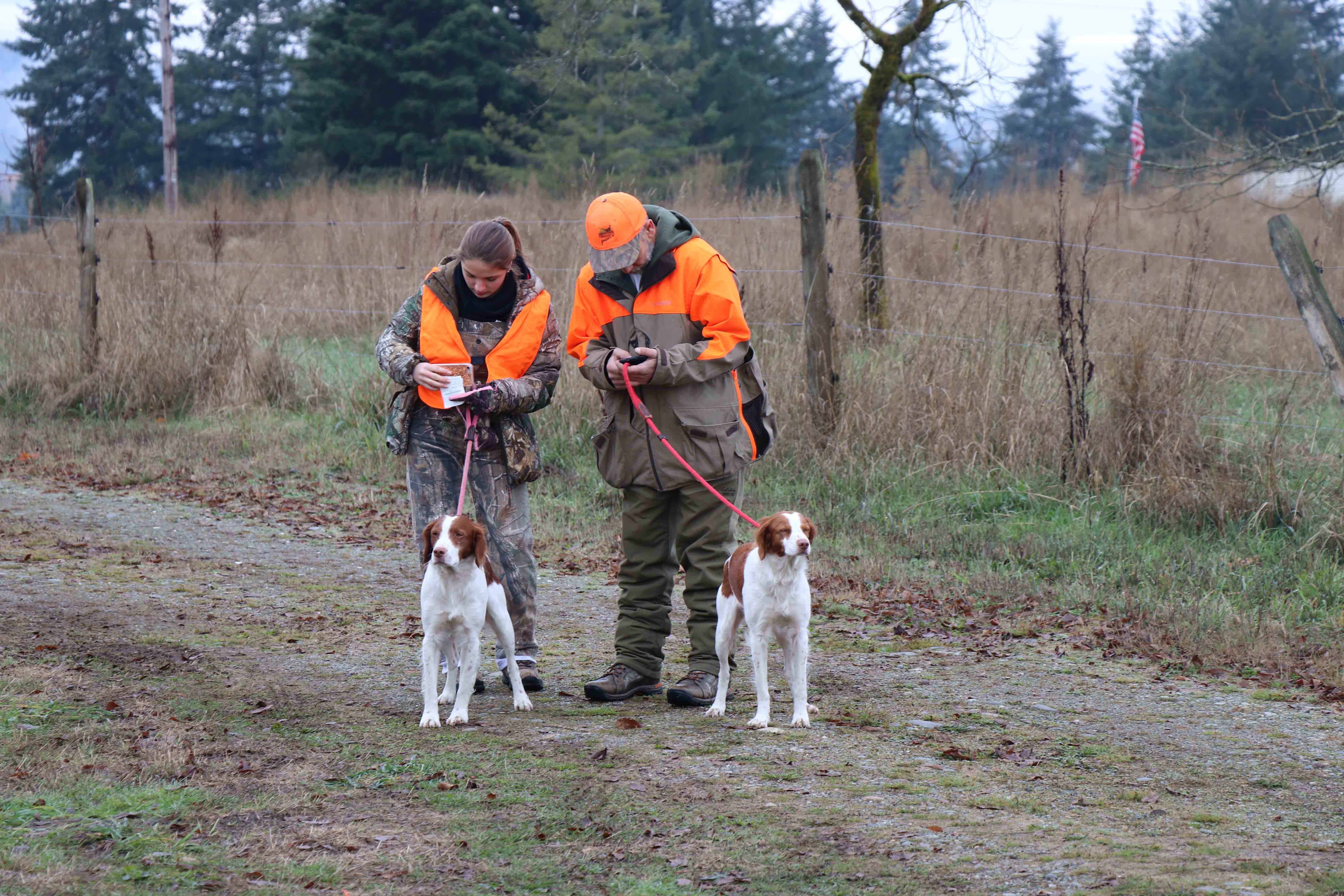 hunting type dogs