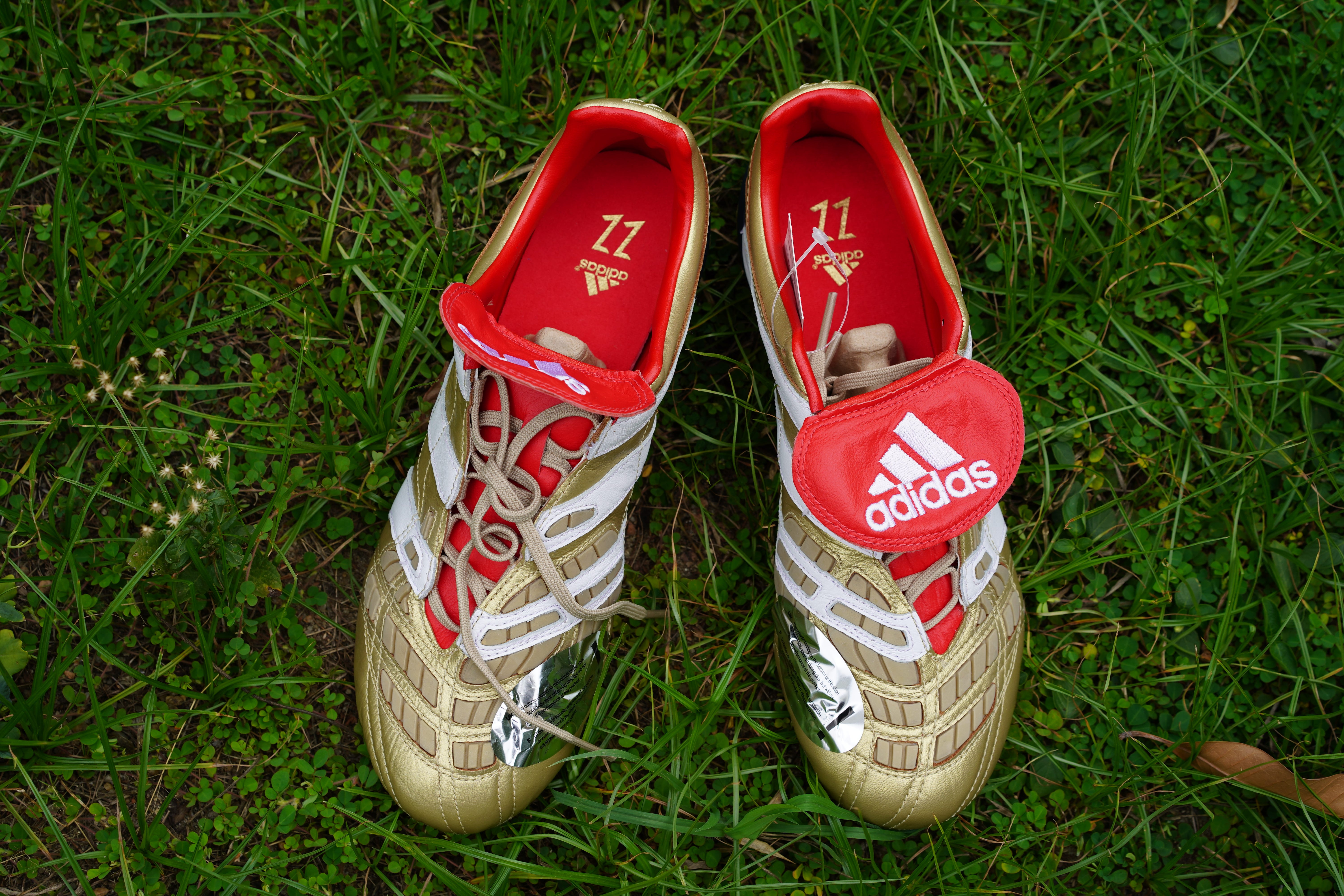 adidas predator zz