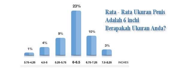  Ukuran  Rata  Rata  Alat  Vital Pria Indonesia Berbagai Ukuran 