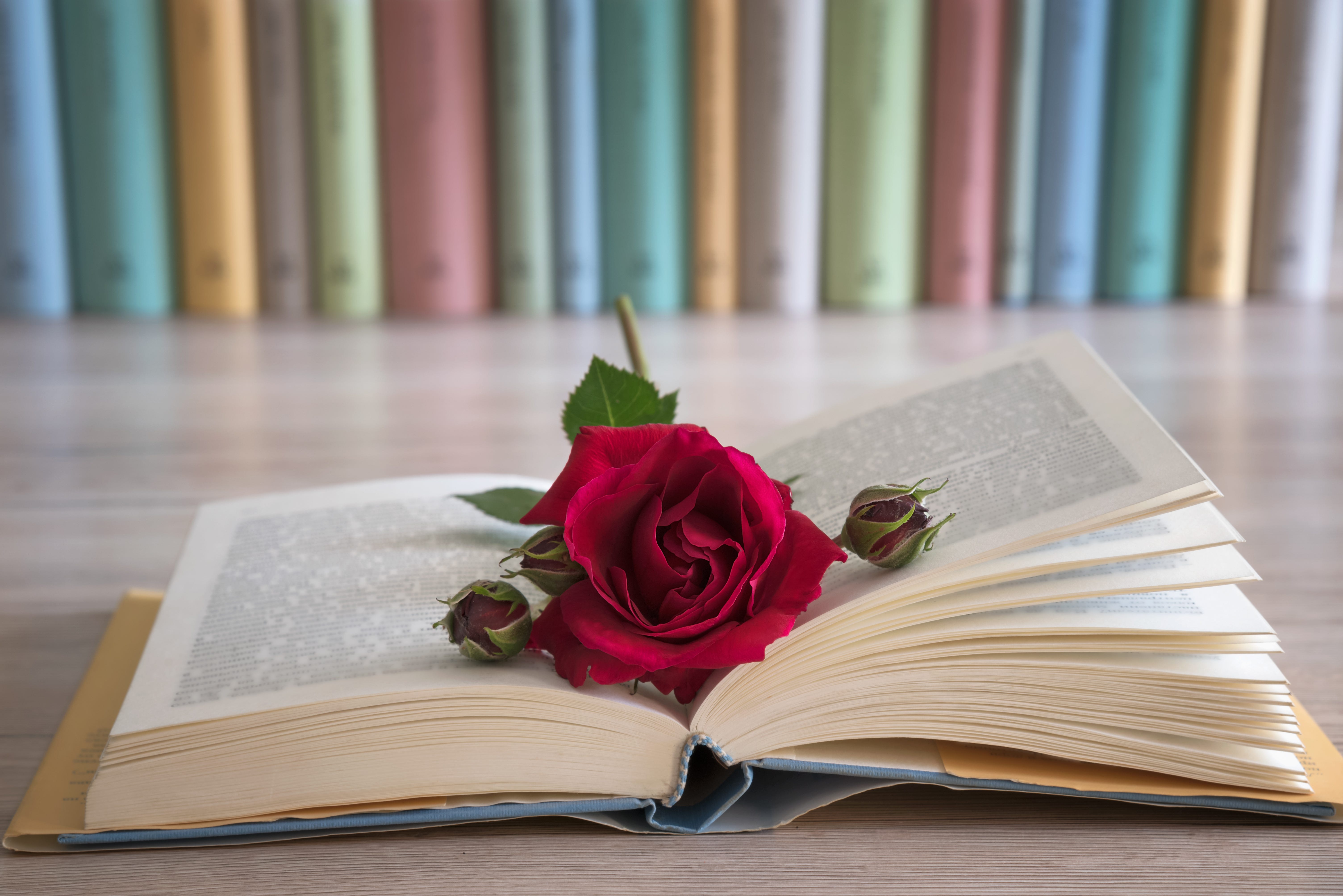 11 Books To Read If You Love Beauty And The Beast By Harperkids Medium