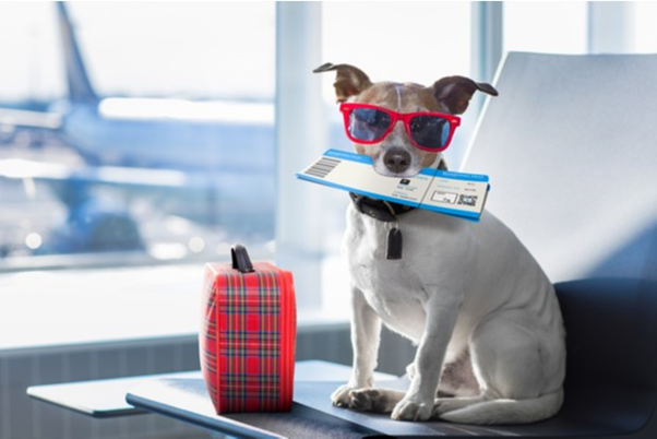 Pet Relocation Services