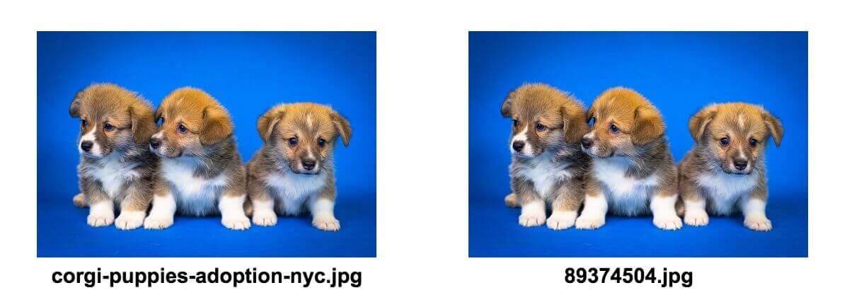 descriptive vs. non-descriptive file name