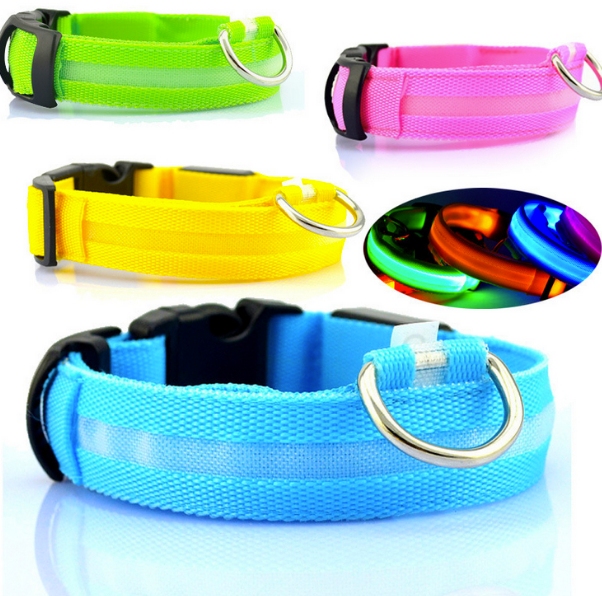 Learn what is a dog collar and how it can help your dog! by Dog