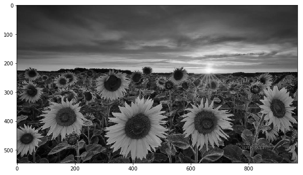 Converting Color Images to Grayscale - 2paisay - Medium