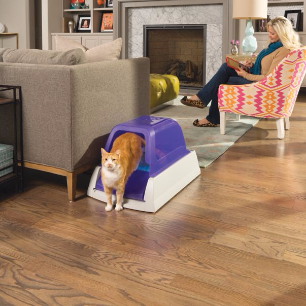 automatic cat litter box petsmart