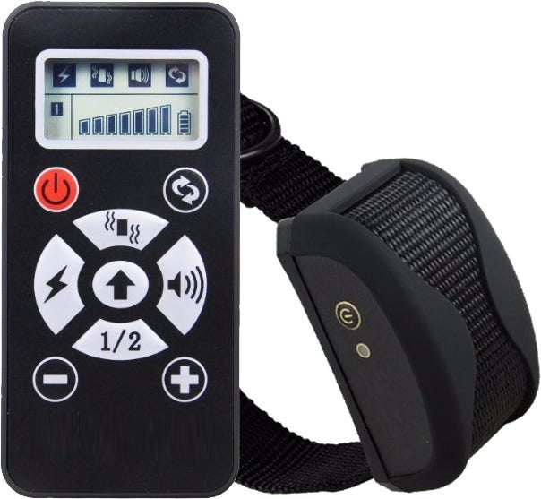 dogtech professional remote trainer