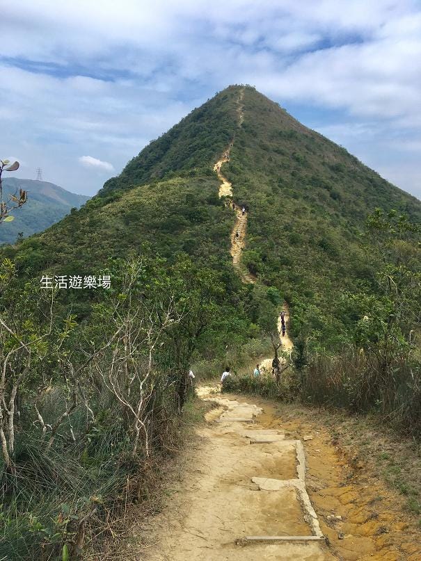 針山 蘇菲 生活遊樂場 Medium