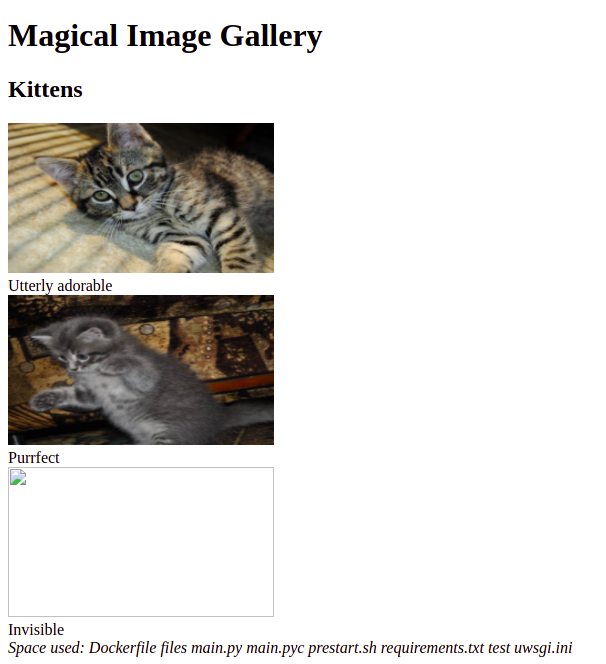 Hacker101 CTF — Photo Gallery — 3/3 FLAGS (Español) by gus Medium