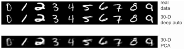 Auto Encoder with Practical Implementation | by Amir Ali | Wavy AI ...