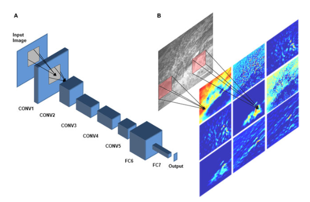 Deep Convolutional Neural Networks: Theory and Application in ...