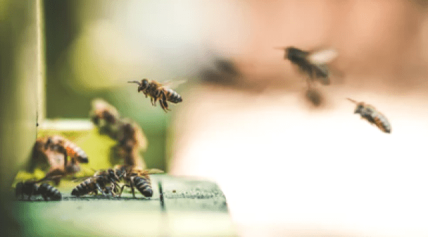 One Simple Technique to Increase Learning: Informal Buzz Groups | by ...