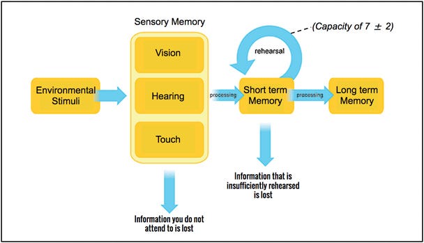 How Human Memory Works: Tips for UX Designers. | by tubik | UX Planet