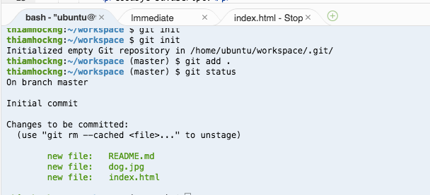 How to Push Your Code to Github and Publish Your First Page | by Thiam ...