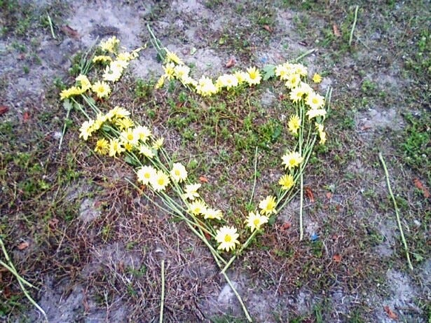 Yellow flowers arranged on the grass in the shape of a heart