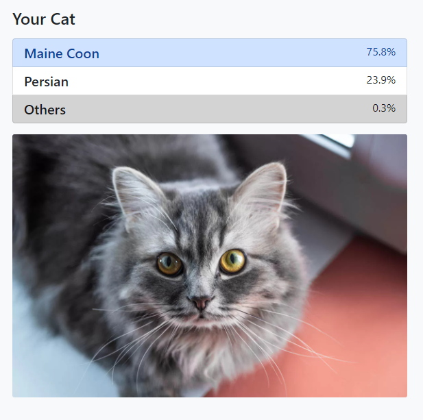 Cat Breed Classification with Deep Learning by Dmitry Astankov Medium