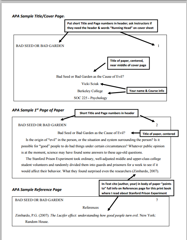 apa style in academic writing