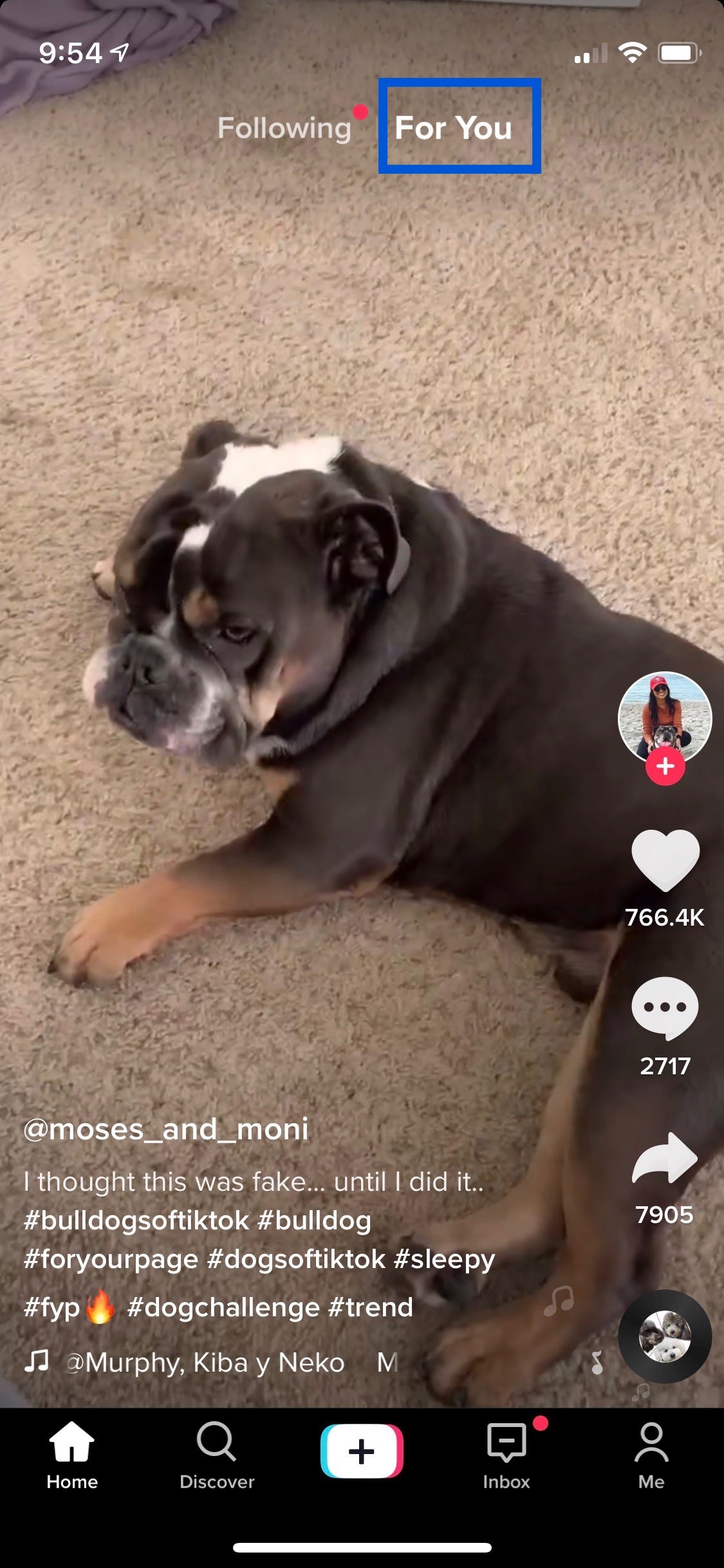 A screenshot of TikTok’s “For Your Page” feed illustrates the interface’s key elements and contains a video of a dog.