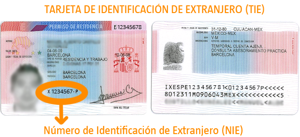 Amanda Matta – Medium