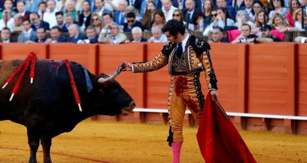 The Ruthless Soliloquy Bullfighting In Contemporary Society By Edd Norval Medium The Ruthless Soliloquy Bullfighting In Contemporary Society By Edd Norval Medium