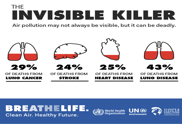 The Ultimate Guide To Indoor Air Pollution