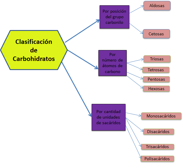 BIOMOLÉCULAS Y LA CÉLULA. Departamento de Ciencias