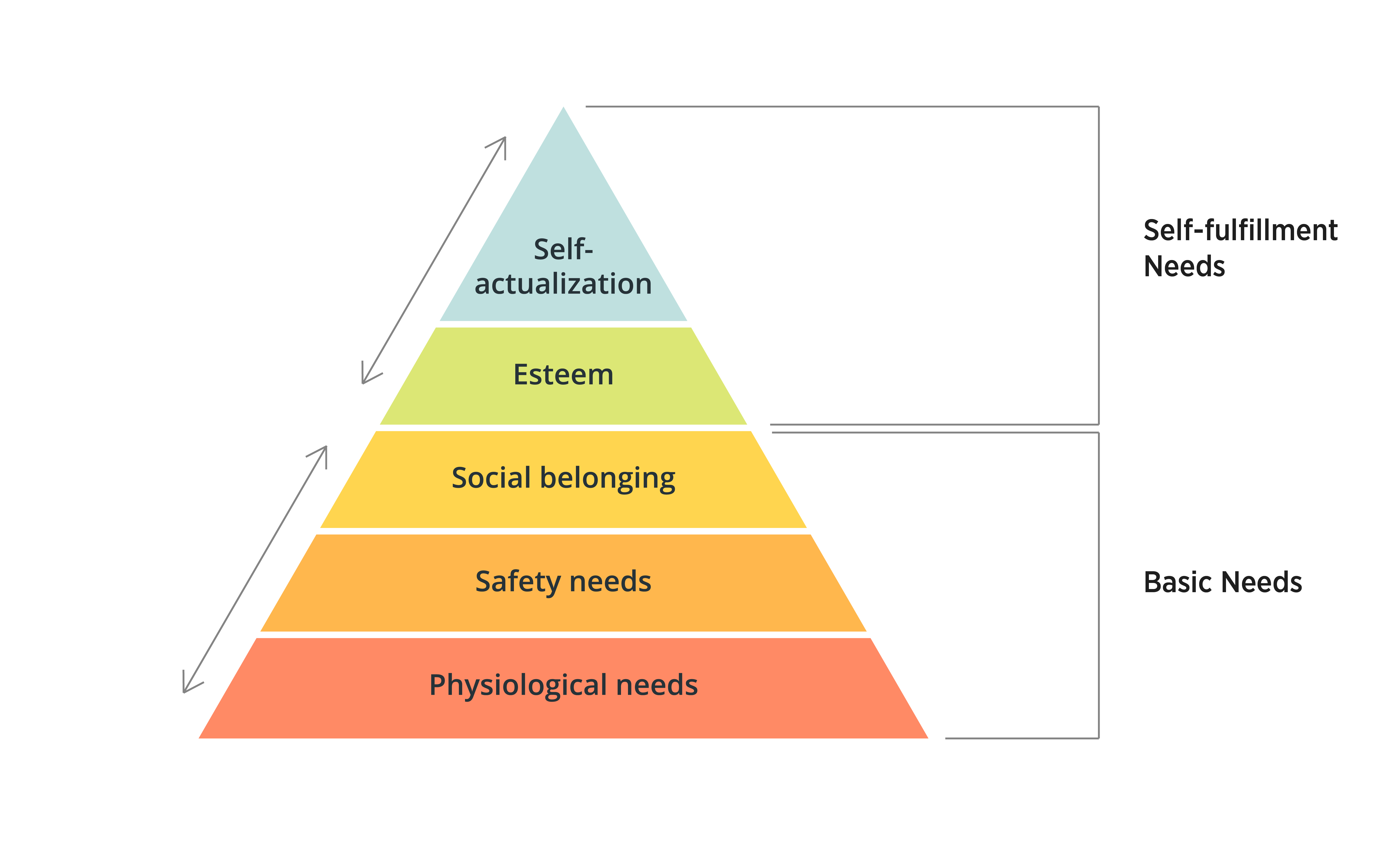 what is a dominance hierarchy