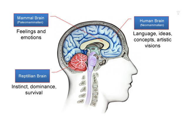 piece of brain emotional