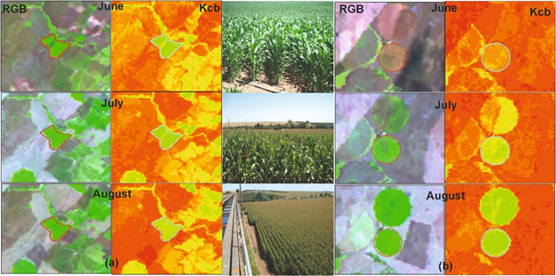 Crop Monitoring using Satellite Imagery — Part I | by Marita Thushari |  Medium