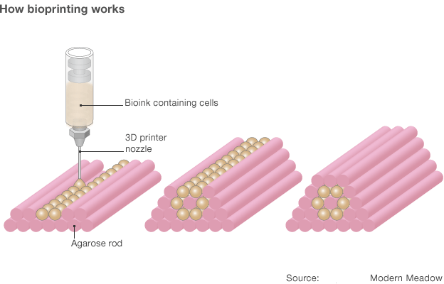 3D printing means revolution in evolution | by Manuj Aggarwal | Medium