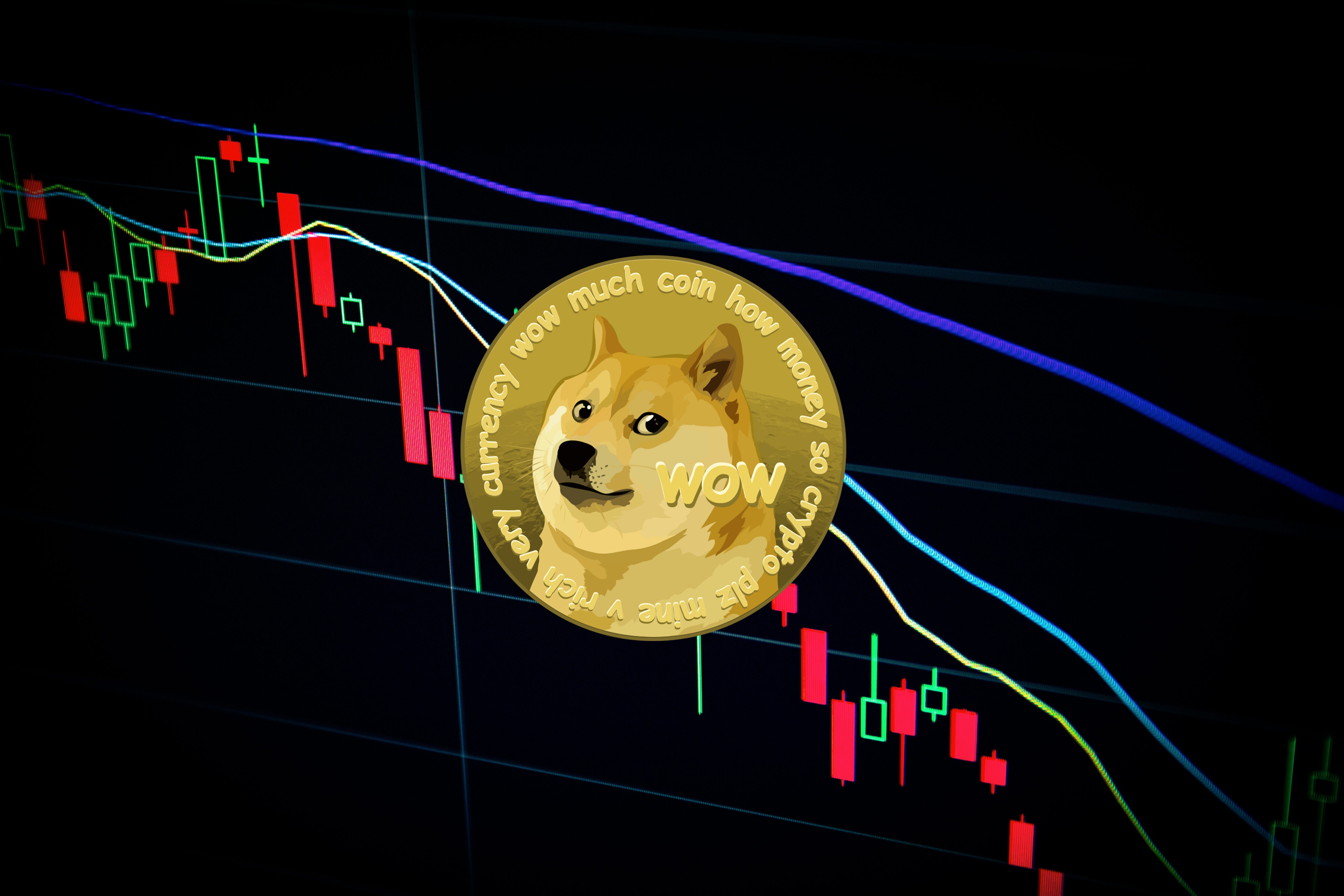 Dogecoin coin future