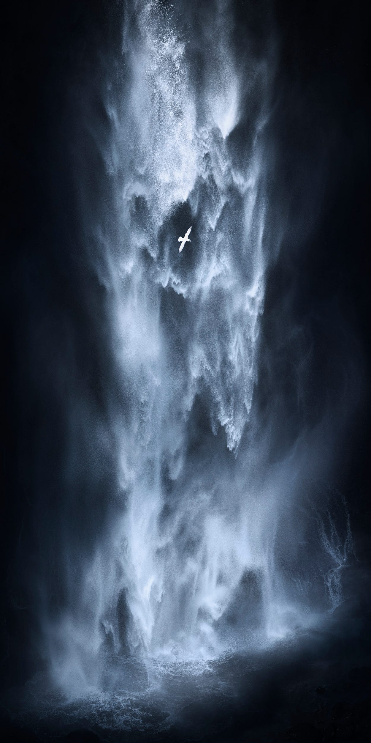2020 βραβεία πανοραμικής φωτογραφίας, πουλί σε καταρράκτη στη Νότια Ισλανδία, Kai Hornung