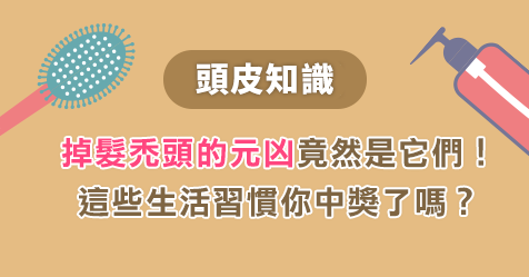 頭皮知識 原來頭皮問題分為這四大類 上 大家好 我是頭皮護理專家umi By Dr Umi Medium