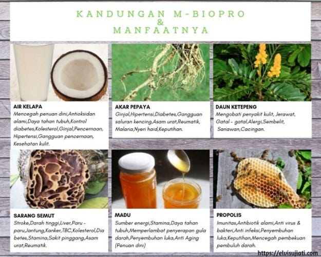 Jual Obat Herbal Alami Untuk Diabetes Di Jayapura Telp Wa 0821 7970 7846 By Syarif Hidayatullah Medium Jual Obat Herbal Alami Untuk Diabetes Di Jayapura Telp Wa 0821 7970 7846 By Syarif Hidayatullah Medium