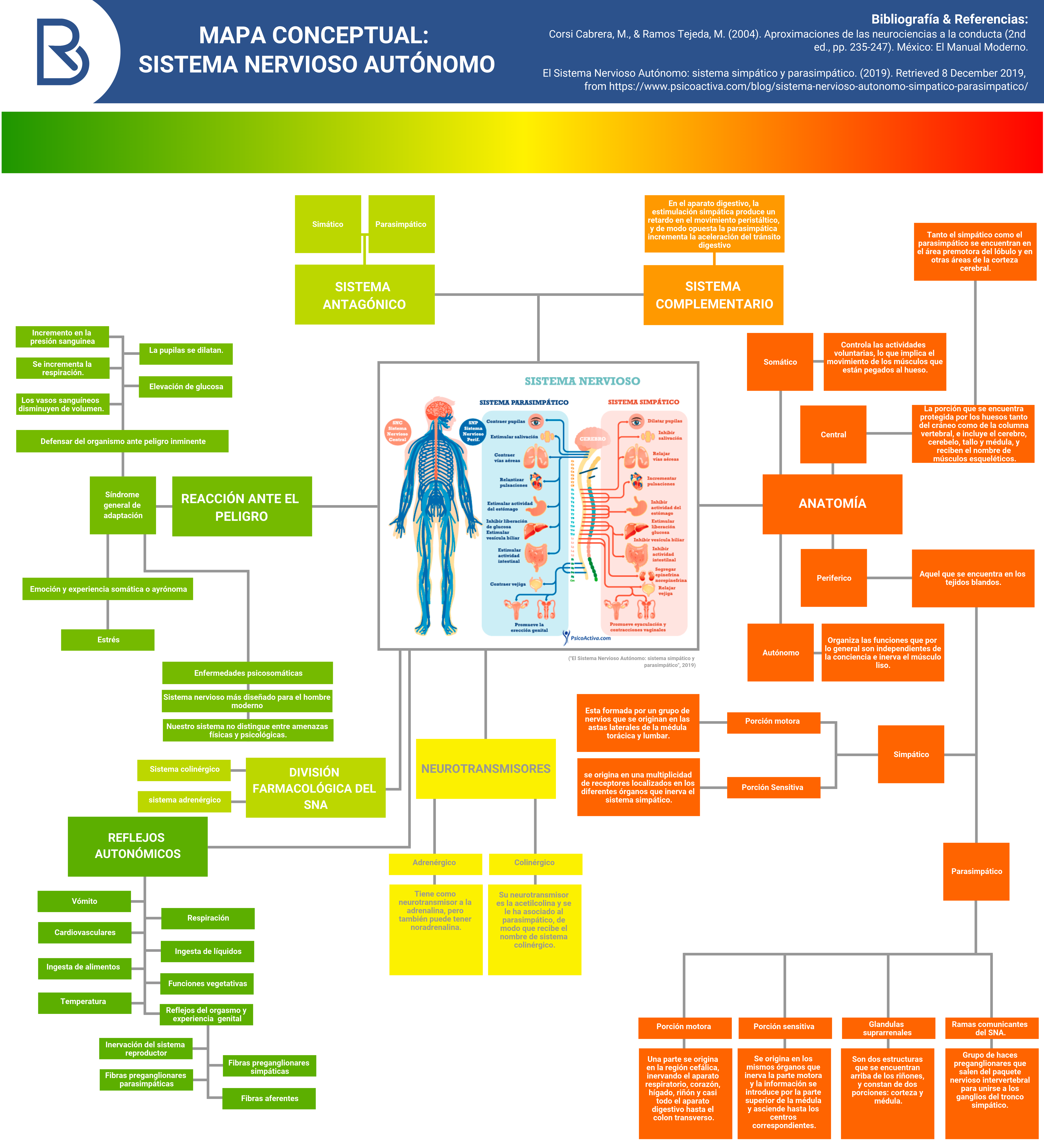 Mapa conceptual Sistema Nervioso Autónomo HABLEMOS DE