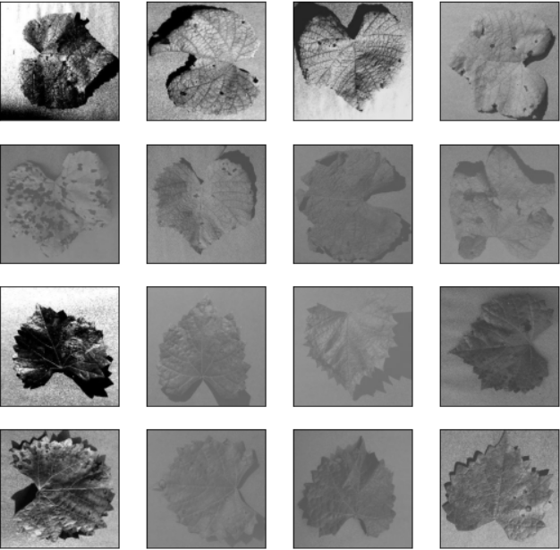 Image Segmentation with Python Siddhant Sadangi Better Programming