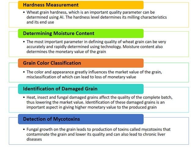 Determining The Quality Of Wheat Wheat Is One Of The Most Important By Agnext Agnext World Medium
