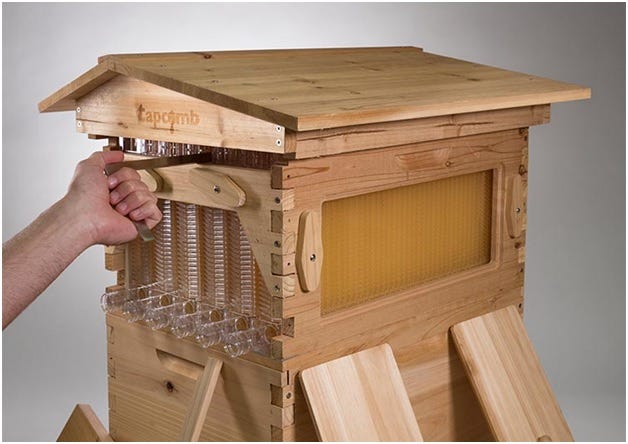 The Solar Bee Clipse Tapcomb Medium