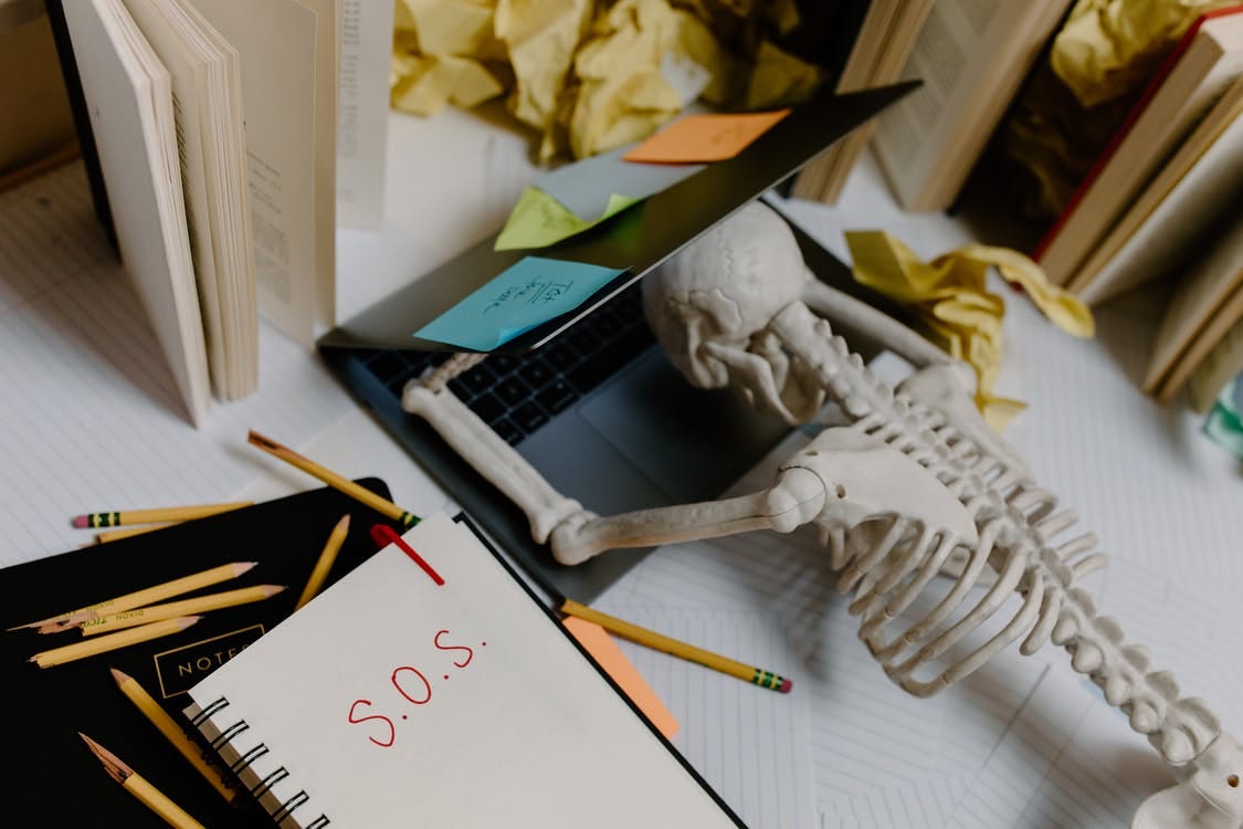 Image of a skeleton lying on top of a laptop