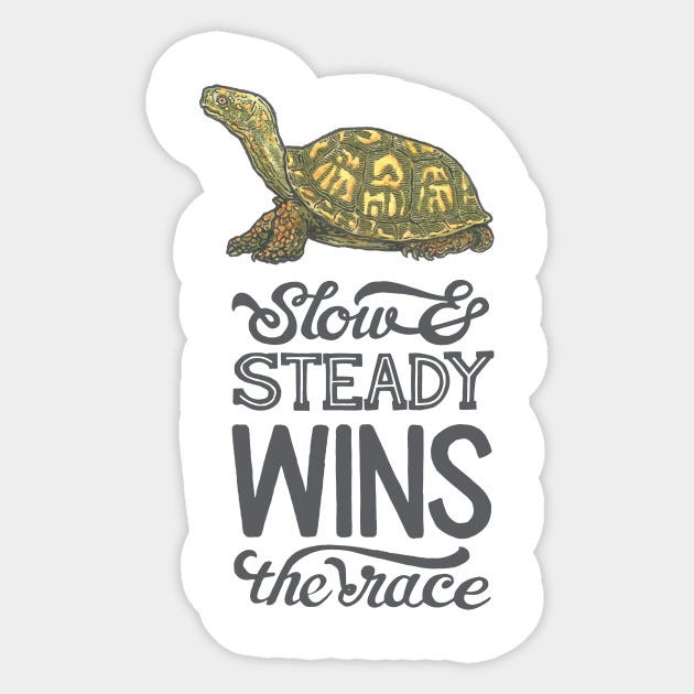 The Turtle Wins the Race in Writing | by Michelle Monet | The Startup ...