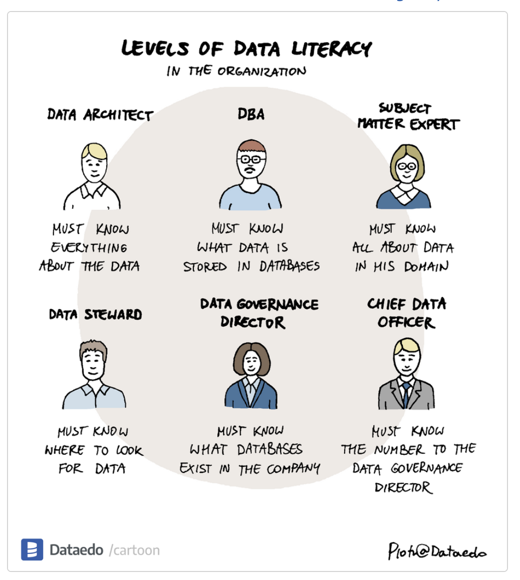 What is data literacy? A blog by singlquote.blog.