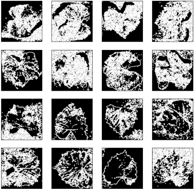 Image Segmentation with Python | Siddhant Sadangi | Better Programming