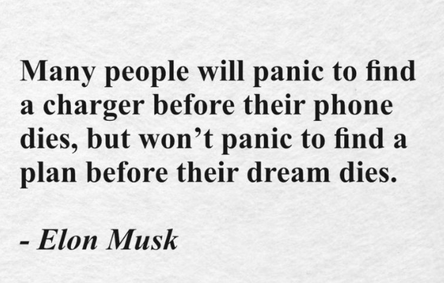 Elon Musk Quote