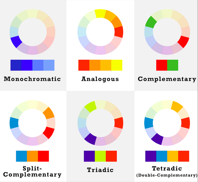 Color Theory & Web Design. What is color? Color is the… | by Liz | Medium