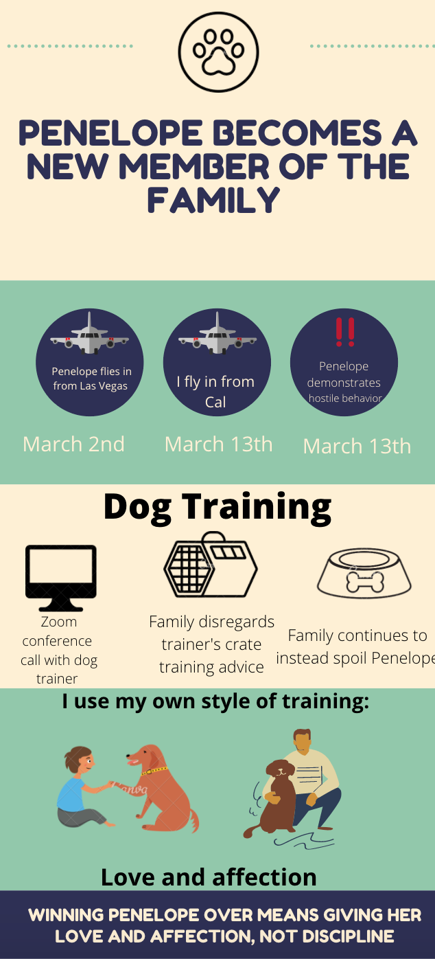 My Dog Hates Me. By Maxim Miller by Maxim Miller Medium