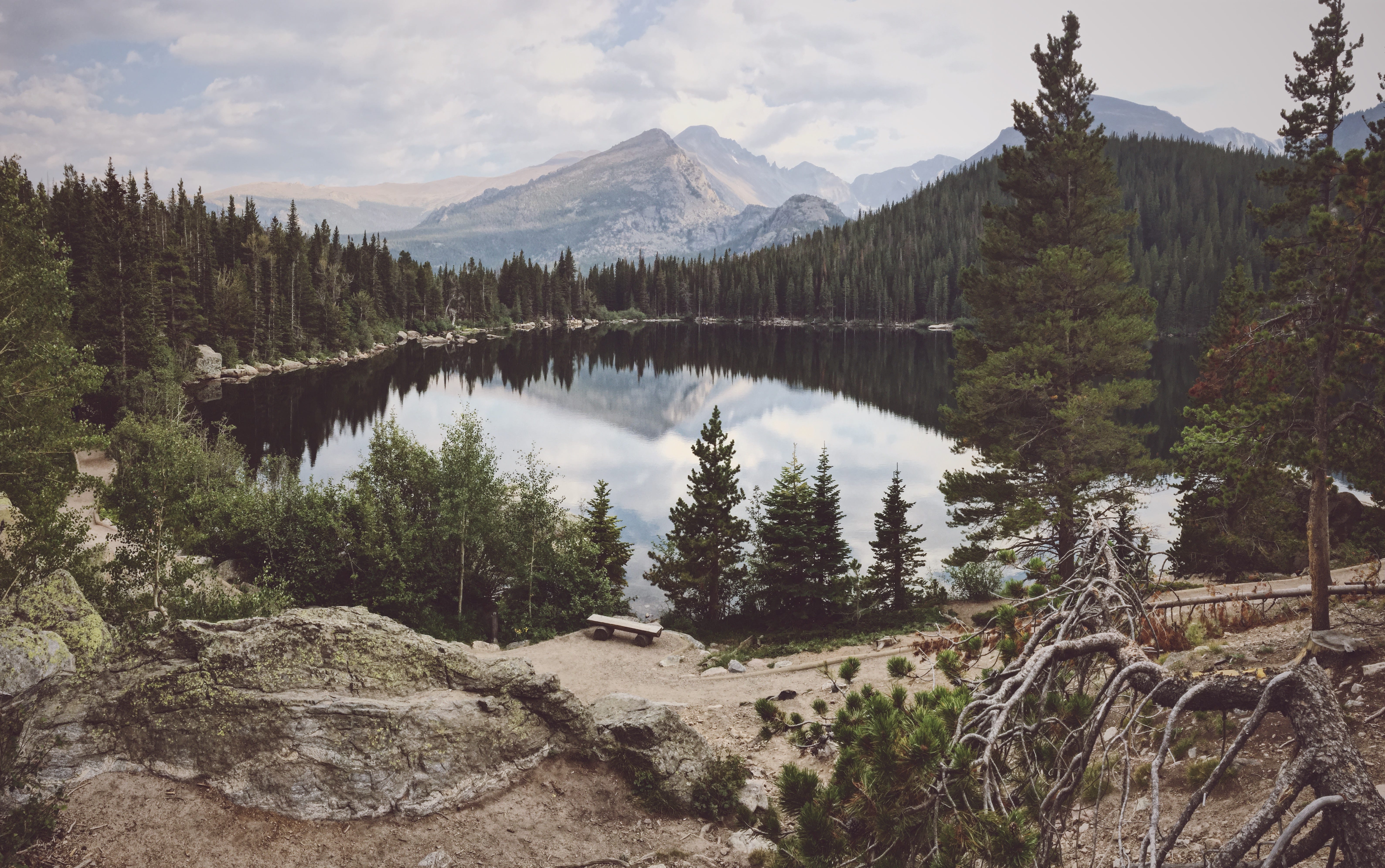 I M Never Coming Back Running Away Into The Forests Where I By Samantha Clarke Through The Lens Medium