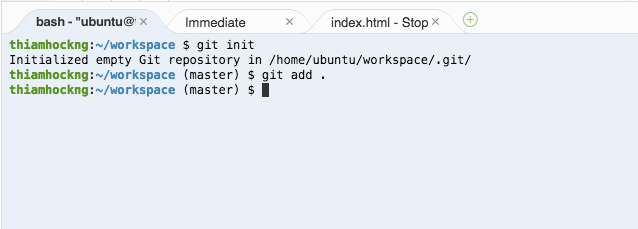 How to Push Your Code to Github and Publish Your First Page | by Thiam ... image.